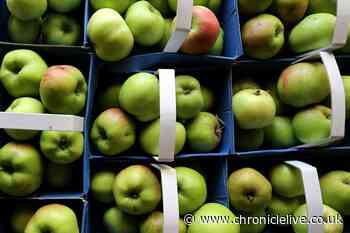 Experts reveal two superfoods which slash cholesterol, diabetes and cancer risk