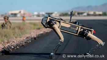 America's doomsday fears REVEALED: Worries range from World War 3 to killer robots - but another dreaded scenario is the scariest of all