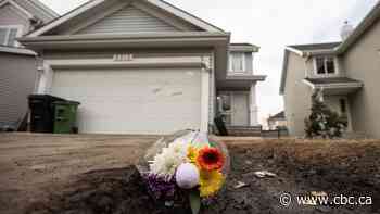 Animal control had 'no lawful basis' to seize dogs before fatal Edmonton attack, city review finds