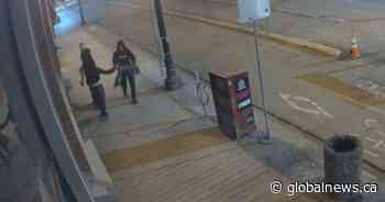 Police release video of suspects who ripped Pride flag from outside Edmonton business