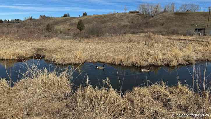 A weekend full of sunshine and warm temperatures