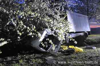 Brötchen-Lkw kollidiert mit Kirschbaum auf der Pödinghauser Straße