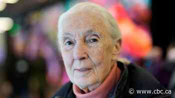 Climate warrior Jane Goodall isn't sold on carbon taxes and electric vehicles