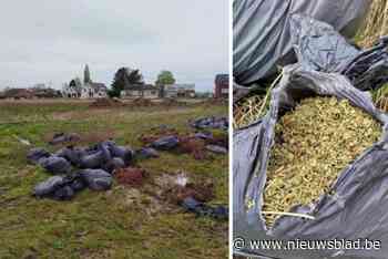 Politie treft mogelijk gedumpt cannabisafval aan en start onderzoek: “Het gaat om twintig tot dertig vuilniszakken”