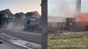 A group of excited owners moved into brand new homes in a bustling Oakville suburb. Then construction ramped up.