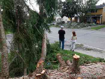 Pasma: This bill would help with extended power outages during severe weather