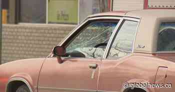 Leave Canada or sue? Auto theft victims consider their options as cases surge