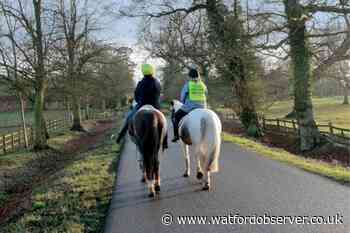 Highway Code: New guidance for drivers passing horses