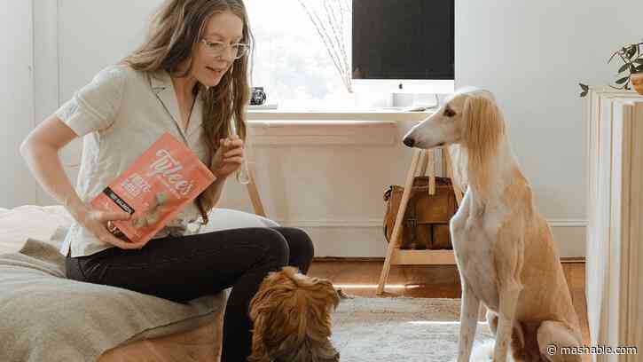 This dog training course bundle is on sale for $23.20