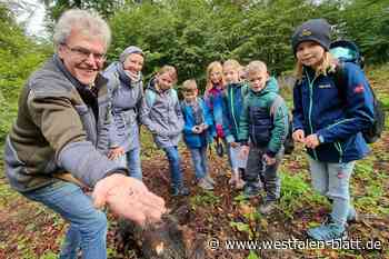 Kinder in Bad Driburg entdecken den Wald spielerisch