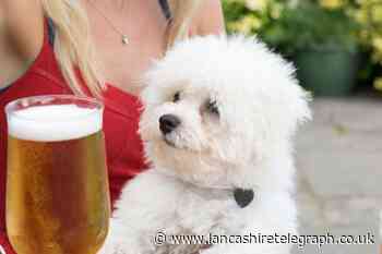 5 dog-friendly pubs you can enjoy with your dog in Blackpool