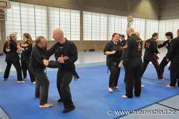 Mechelse club mag eerste internationaal kamp Kenpo karate organiseren: “Droom waar jonge clubeigenaars jaren naartoe werkten”