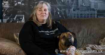 Sunderland woman caught Lyme Disease after dog lay on hedgehog nest in garden