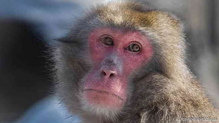 Quebec zoo examined animal behaviour during last week’s total solar eclipse