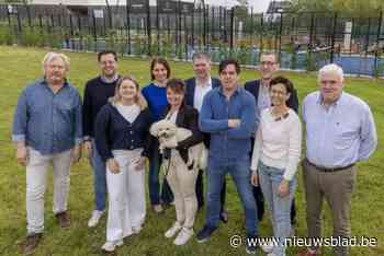 Gewezen Rode Duivel Philippe Desmet stapt in politiek: “Ik wil me inzetten voor Anzegem”