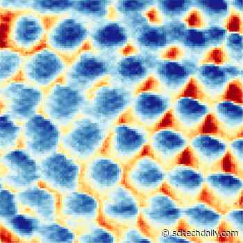 Frozen Electrons Come to Life in Groundbreaking Princeton Study