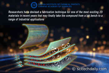 From Lab Curiosity to Industrial Reality: The New Dawn of Transition Metal Telluride Nanosheets