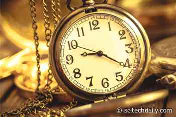 New Research Suggests That Cutting Exposure to Common Chemicals Could Slow Aging