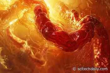 Climate Change as a Catalyst: Decoding the Spread of Deadly Zoonotic Disease in the Amazon