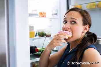 New Research Indicates That Loneliness Triggers Sugar Cravings in Women