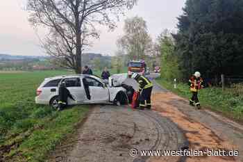 Vlotho: Fahrer leicht verletzt