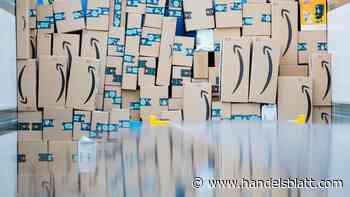 Online-Aktien: Diese zwei Unternehmen fordern Amazon heraus