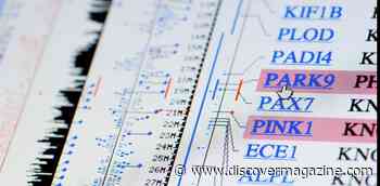 Variant That Causes Parkinson’s Disease Clarifies Why The Condition Develops