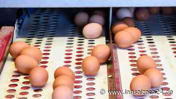 Auf Wiedersehen, braune Eier? Warum sie bald vom Markt verschwinden könnten