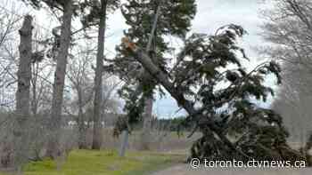 Thousands still in the dark in Ontario after high winds cause widespread outages