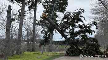 Thousands still in the dark in Ontario due to widespread outages