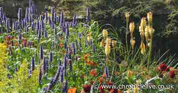 All the North East gardens opening their gates for charity for this summer's Open Garden season