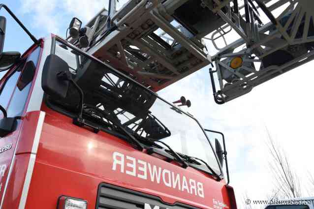 Tuinhuis en inboedel gaat in vlammen op in Lommel