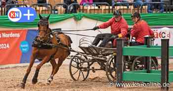Nordpferd-Fahrercup-Siegerin Lise Halkjaer: Ihre Stute half ihr zurück ins Leben