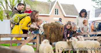 Verrukking bij ouders en kinderen: tóch zes lammetjes op Lammetjesdag