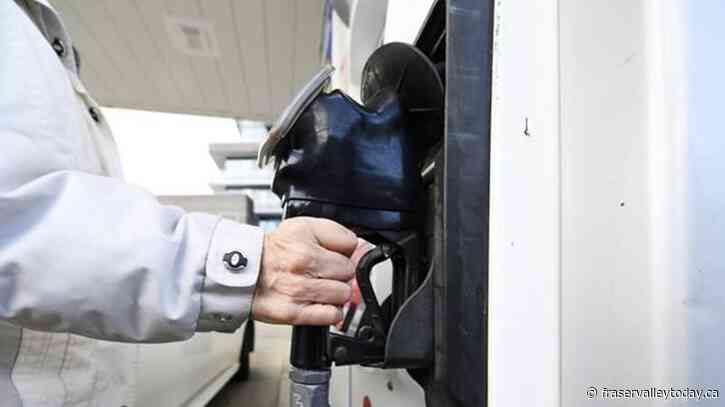 First 2024 Canada carbon rebates will be deposited today for some Canadians