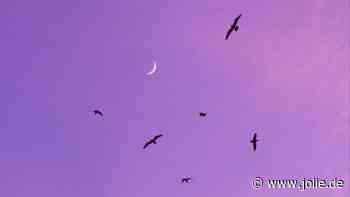 Wochenhoroskop für alle Sternzeichen vom 15. bis zum 21. April