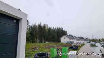 Häuser gebaut, aber Wald nicht ersetzt: Jetzt erhöht Waldkraiburg den Druck