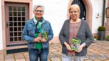 Kirche in Rohrdorf: Viele Bilder und Informationen parat