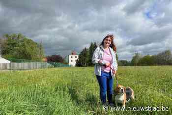 Sylvia Tops stelt eerste kinderboek voor: “Ik vond inspiratie rond het Wit Kasteeltje”