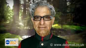 Is this the future of working from home? People are making 'digital clones' of themselves that attend Zoom meetings and answer emails