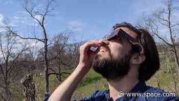 Why I watched the solar eclipse with my kids, a goose and 2,000 trees