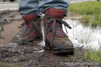 Begeleide wandeling doorheen Ledeberg