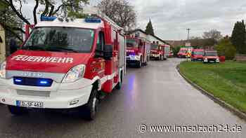 Feueralarm in Schönbrunn: Kellerbrand ruft zahlreiche Einsatzkräfte auf den Plan