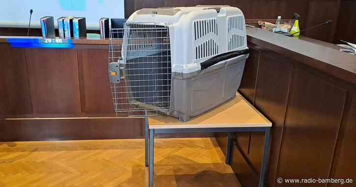 Kind in Hundebox gesperrt: Schmerzensgeld vom Land verlangt