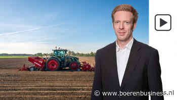 De aardappelmarkt mist een echte aanjager