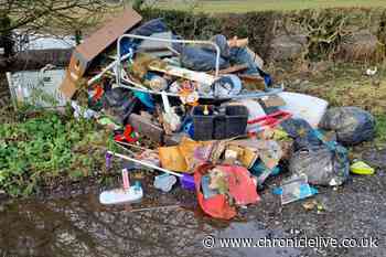 Fly-tipper fined after shocking mound of waste dumped in County Durham