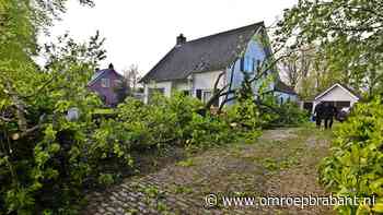 112-nieuws: drie bomen omgewaaid • bliksem slaat in op boom