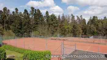 Kinderbetreuung in Calw: Nun steht fest, wer Träger des neuen Waldkindergartens wird
