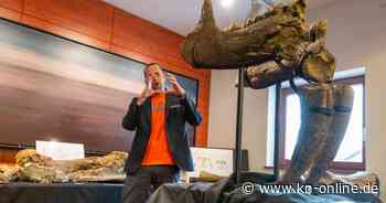 Knochen von Ur-Elefanten bei München entdeckt