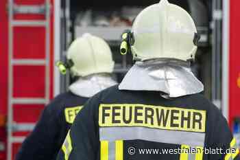 Sturmschäden: Umgefallene Bäume blockieren Straßen rund um Delbrück